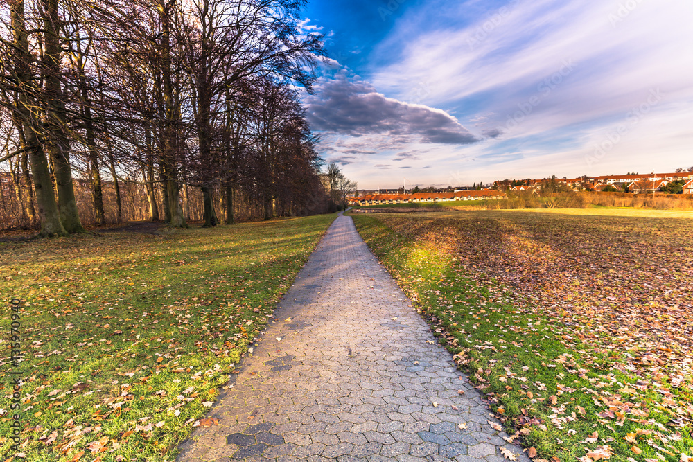 December 04, 2016: A path in the gardens of Roskilde, Denmark