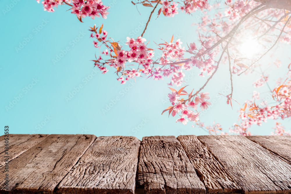 Top of wood empty ready for your product and food display or montage with pink cherry blossom flower