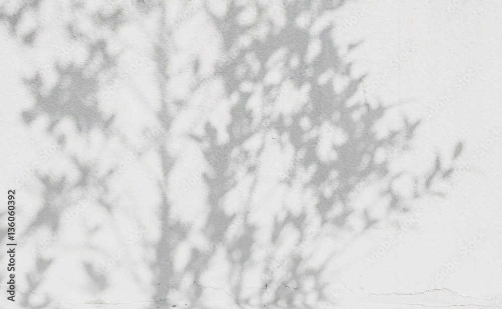 shadows leaf on a white concrete rough texture wall