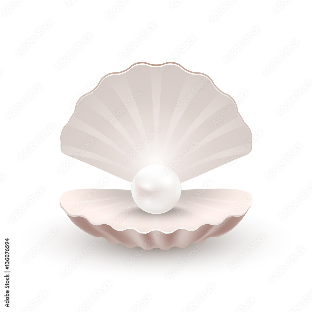 Shell with pearl inside, isolated on white, vector illustration