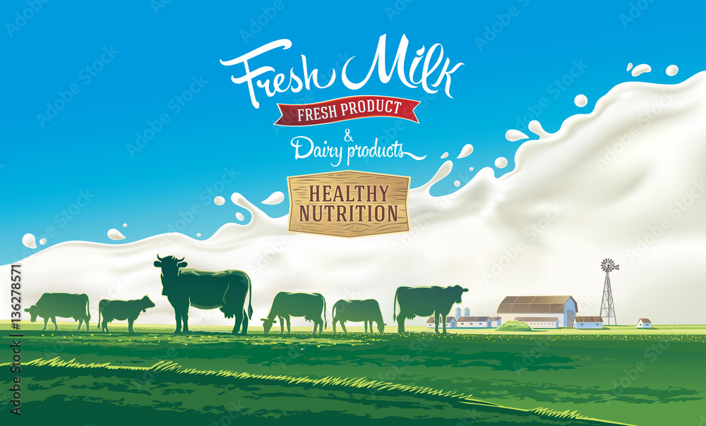 Rural landscape with herd cows and farm with splash milk in background. Vector illustration.