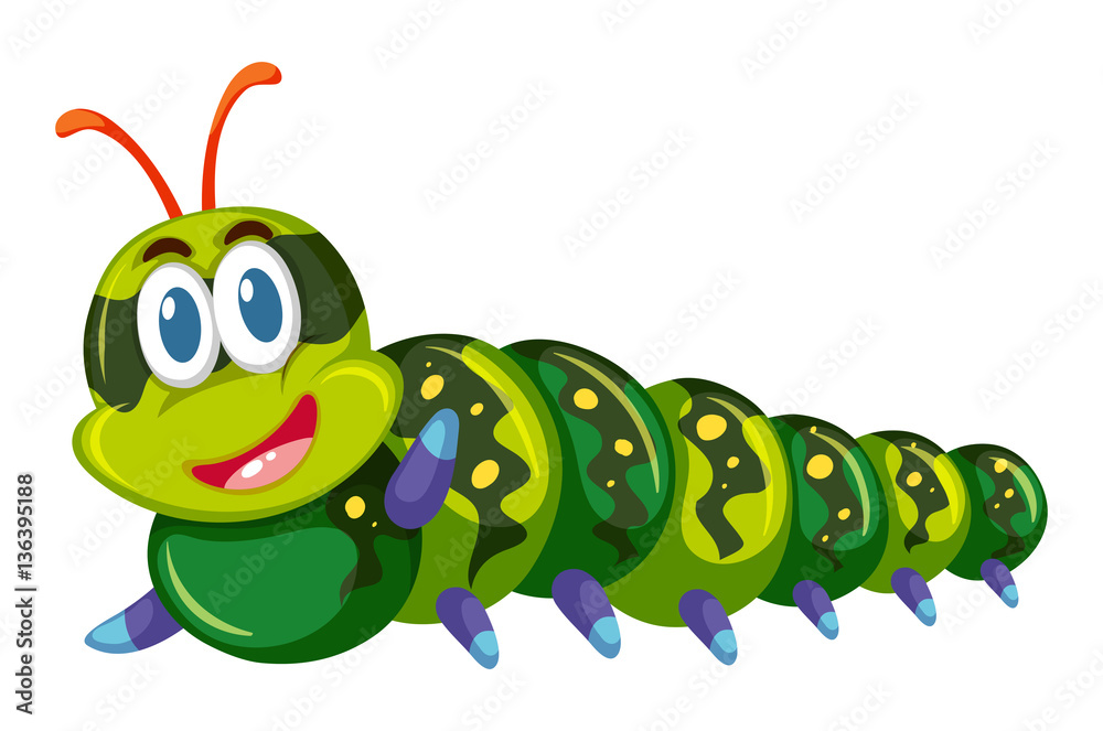 Green caterpillar smiling on white background