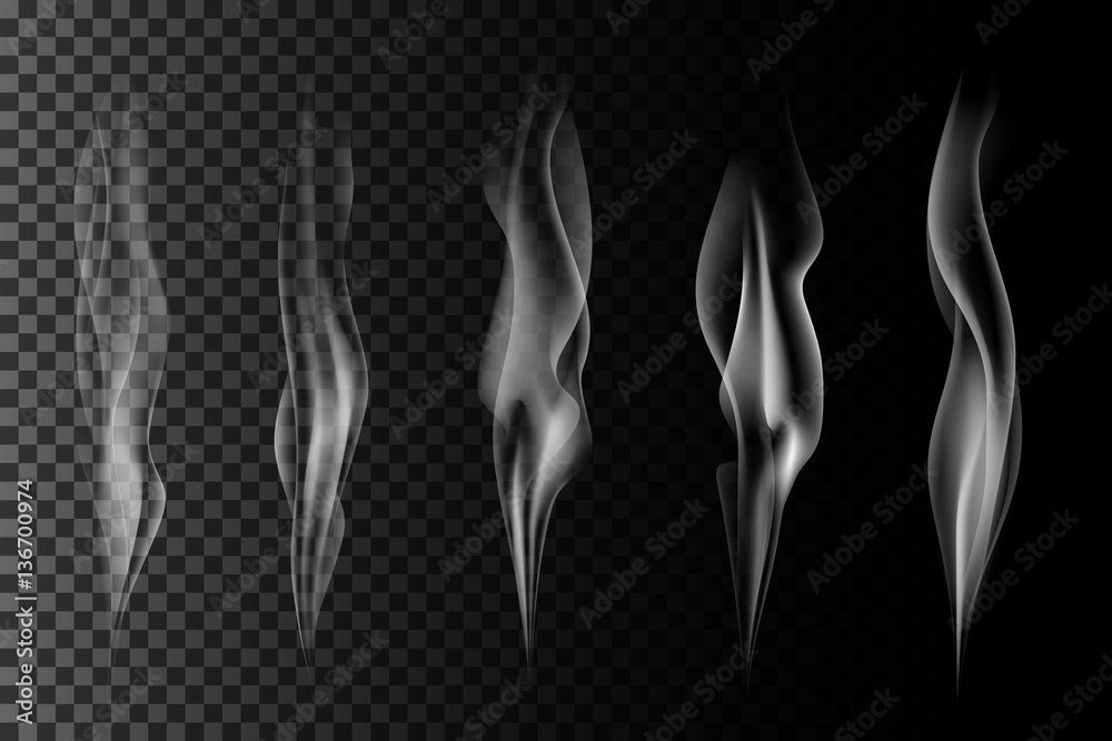 Set of vector transparent gray smoke. Realistic steam on dark background
