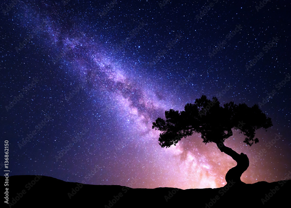 Milky Way and tree on the hill. Old tree growing out of the mountain against night starry sky with p