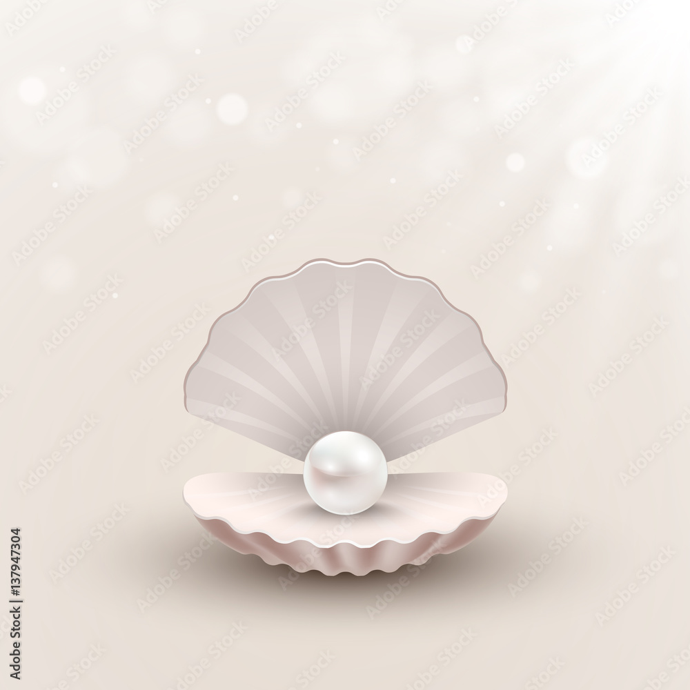 抽象背景下的贝壳，内部有珍珠，矢量插图
