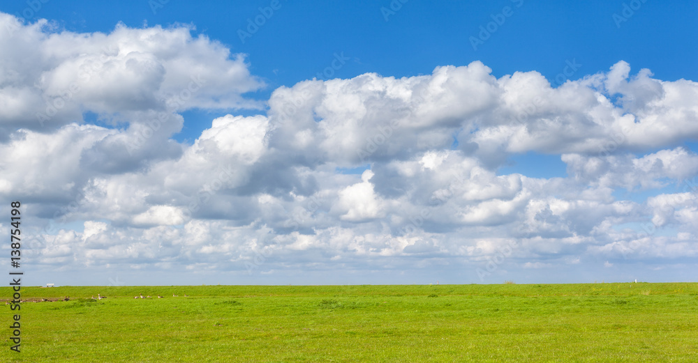 Beautiful landscape with green grass field and bright blue sky with clouds at sunset in spring. Colo