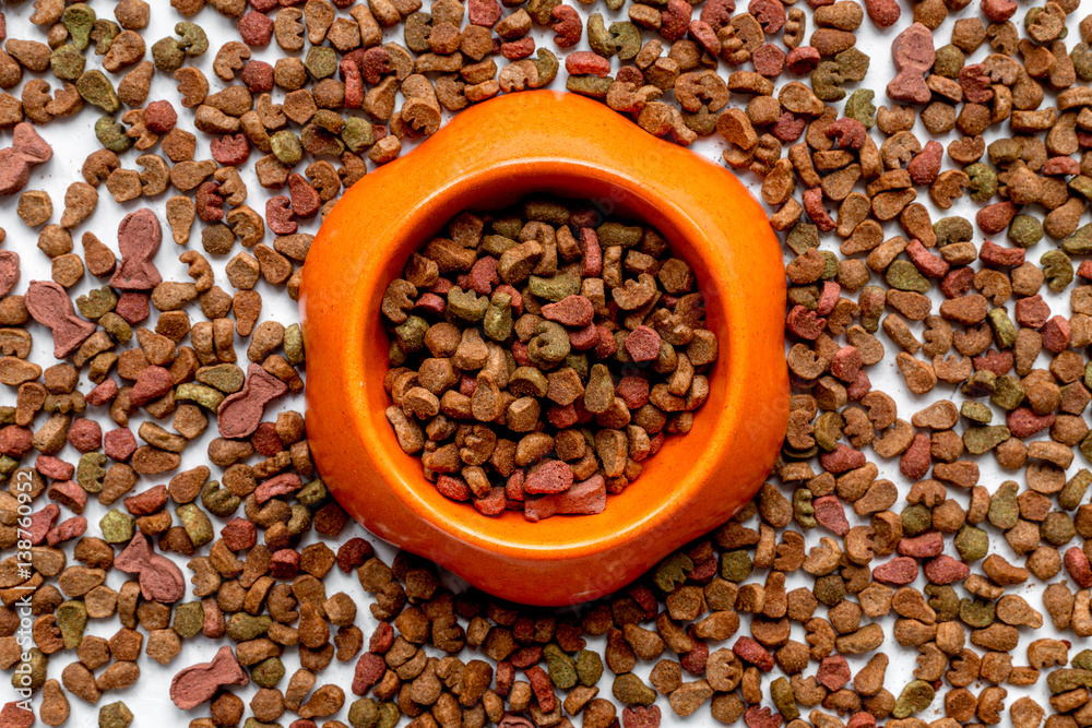 dry dog food in bowl on white background top view