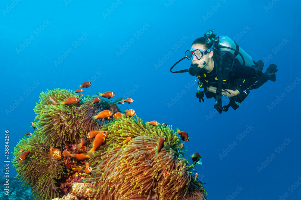 Woman scuba diver exploring claun fish