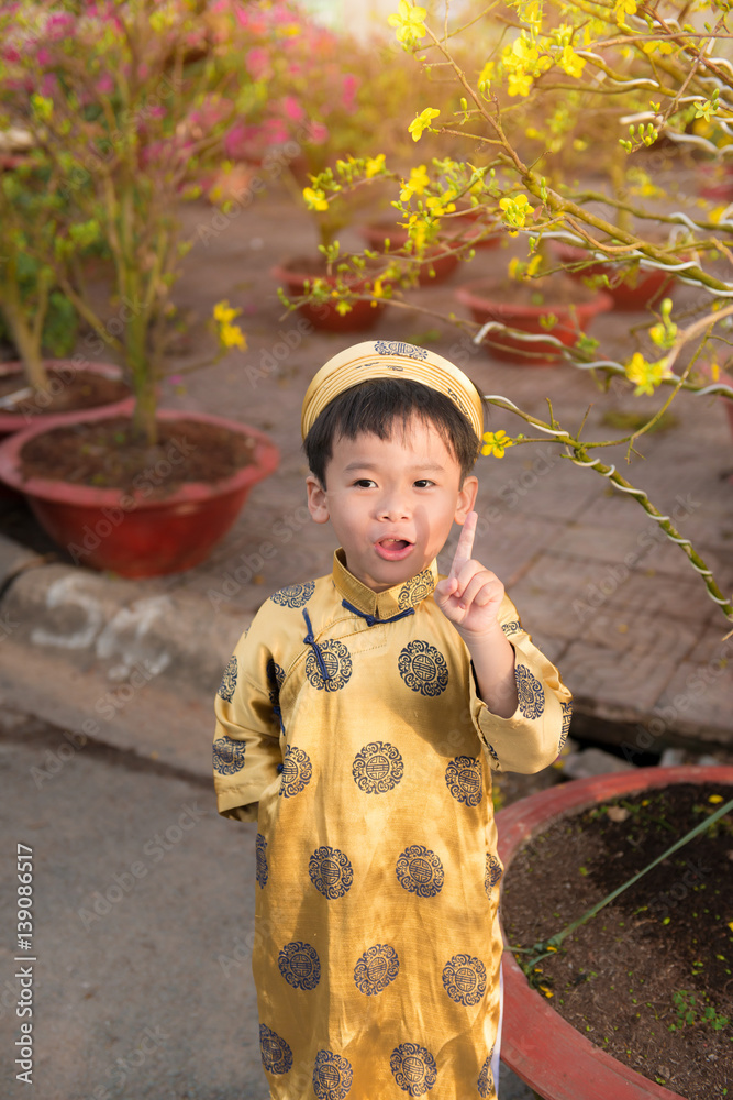 Happy kid having fun with traditional dress (ao dai) in Ochna Integerrima (Hoa Mai) garden. Hoa Mai 