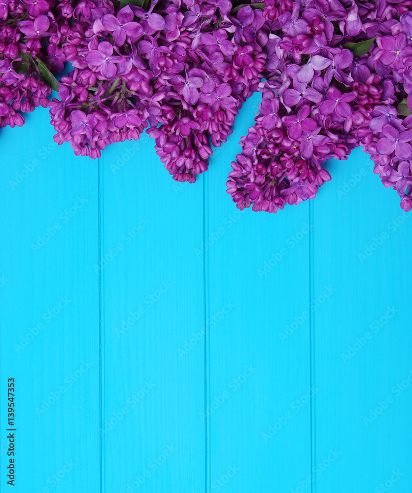  Lilac flowers on blue wooden background.