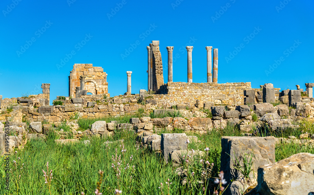 Ruins of Volubilis, a Berber and Roman city in Morocco