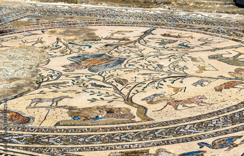 Ancient mosaic at Volubilis, Morocco