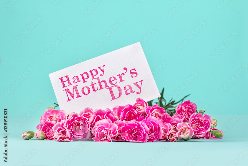 beautiful blooming of  pink carnation flowers on with card and Happy Mothers day message , mothers