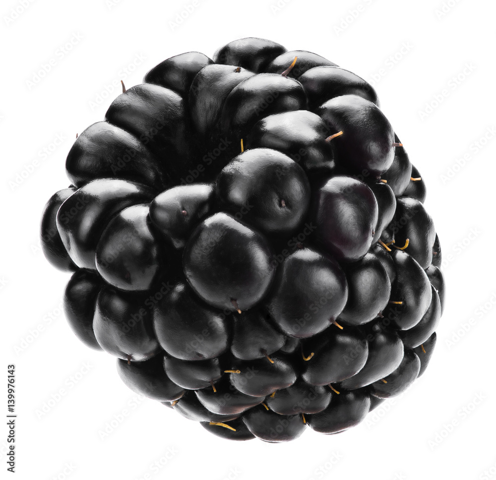 Blackberry isolated on white background with clipping path. Macro.