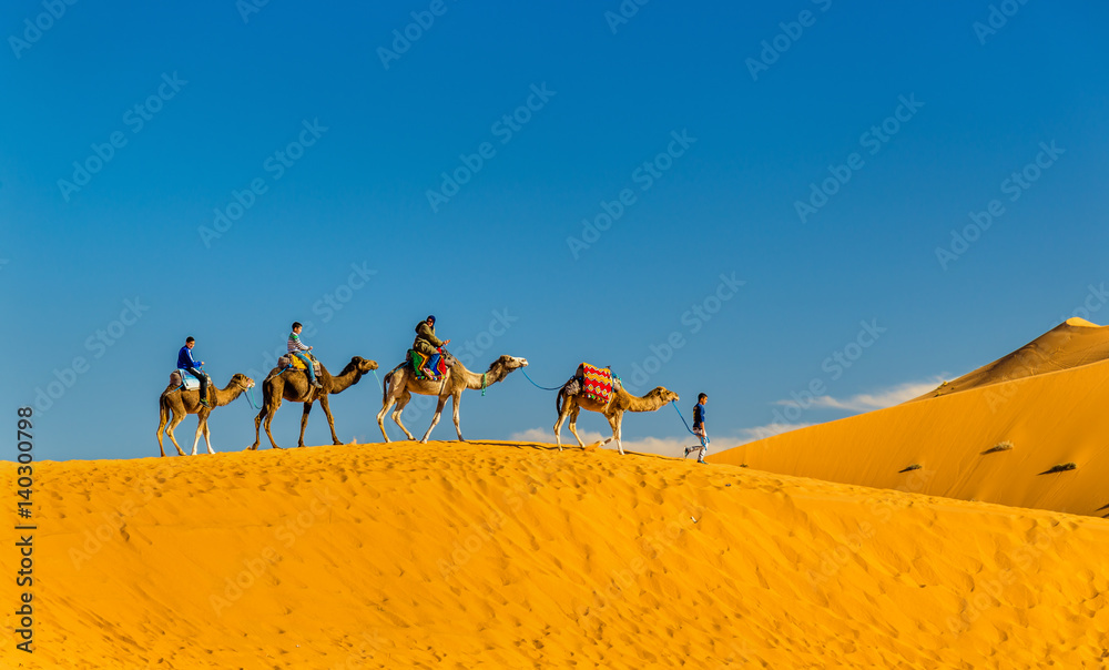 Tourists riding camels at Erg Chebbi near Merzouga in Morocco
