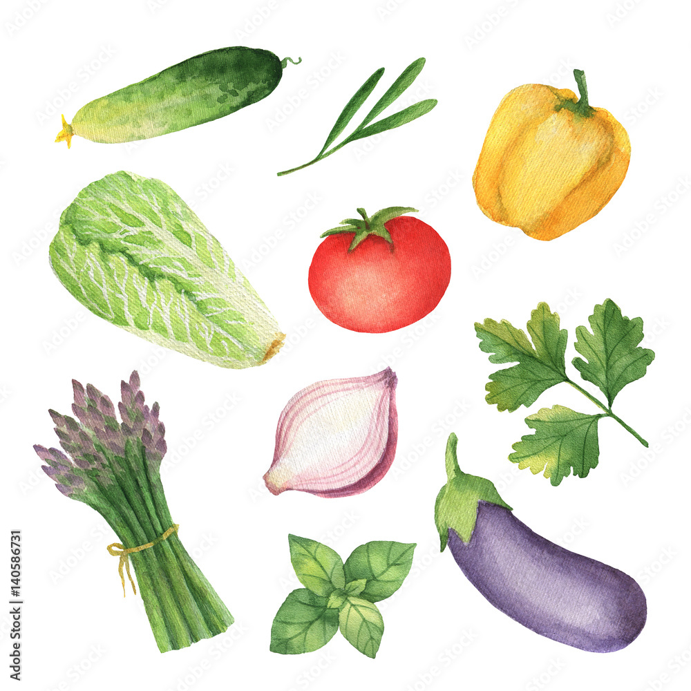 在白色背景上分离的水彩蔬菜和香草。
