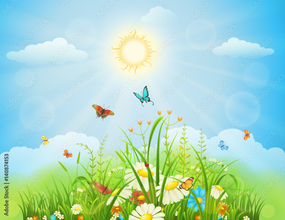 春天阳光明媚的草地，绿草、鲜花和蝴蝶