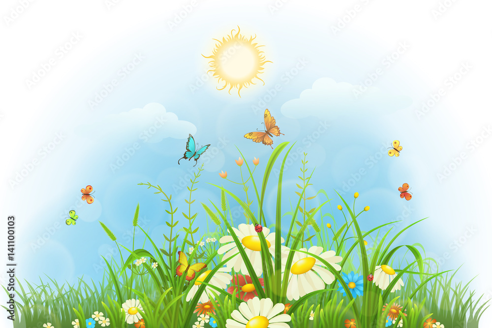 夏日花卉背景，阳光、花朵、蝴蝶和绿草