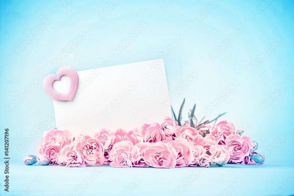 美丽盛开的康乃馨花朵的甜蜜粉彩，带有空的白色卡片