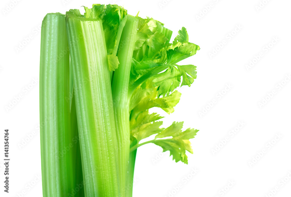 白色背景下的芹菜特写。新鲜有机绿色芹菜的叶子和茎