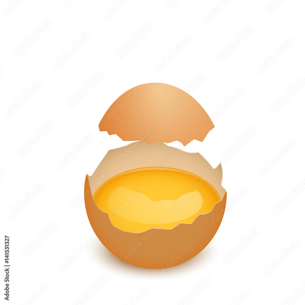 带蛋黄的碎蛋壳，逼真的矢量插图，在白色上隔离