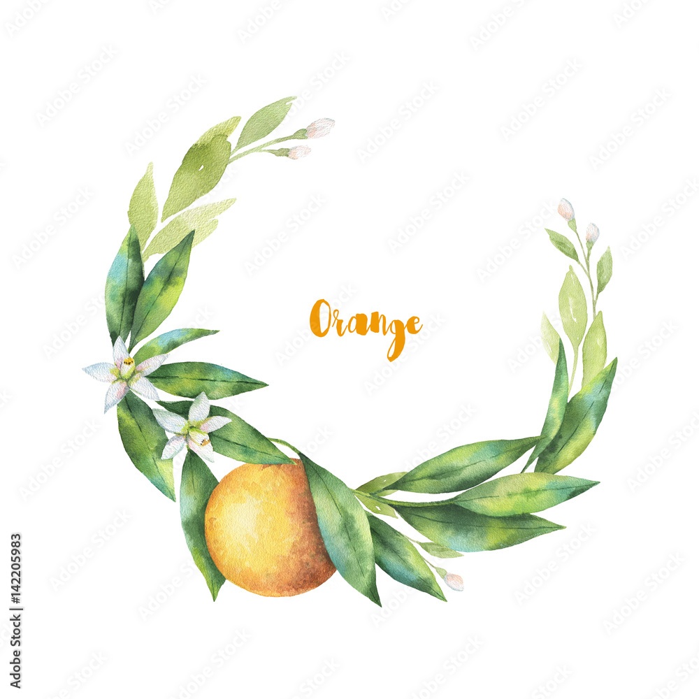 水彩手绘花环水果橙枝。