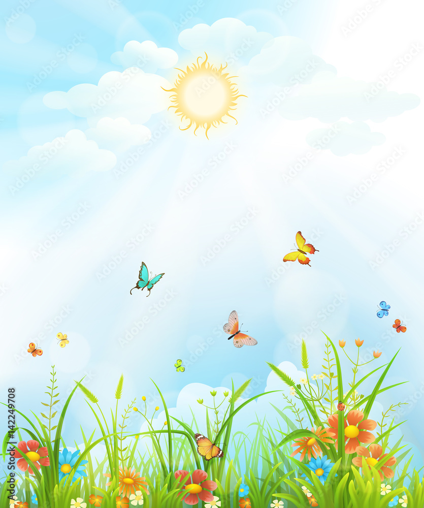 绿草、鲜花、蝴蝶和天空的夏日背景