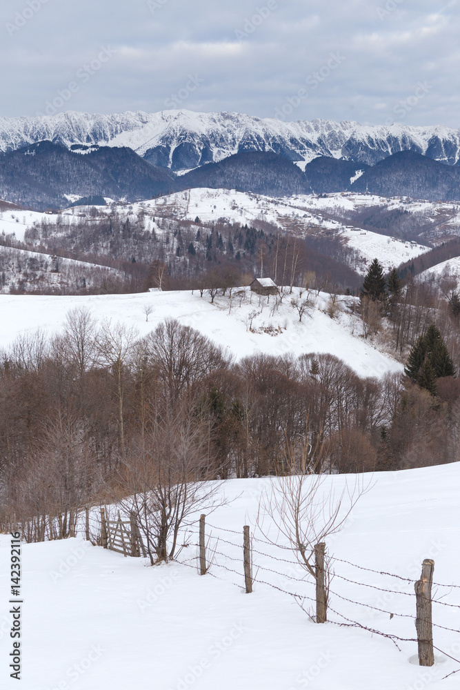 美丽的冬季山脉景观，在寒冷的冬日里有雪花。喀尔巴阡山的野生山脉。