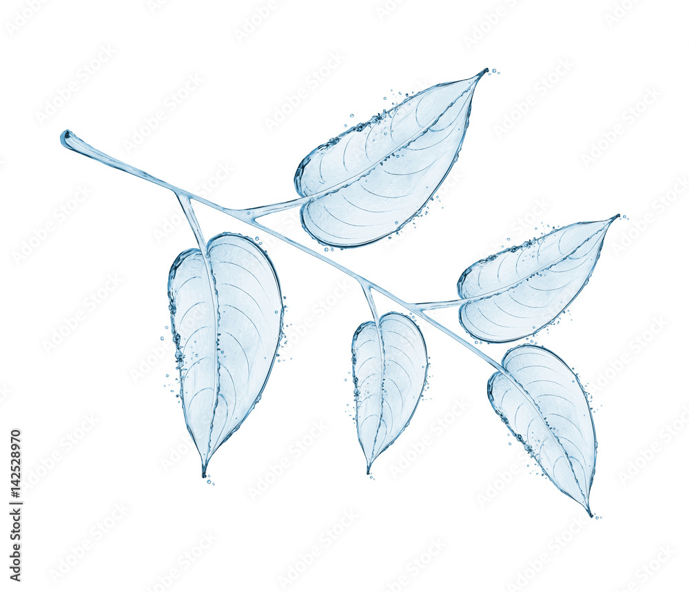 一棵有叶子的树枝，由白色背景上隔离的飞溅物制成