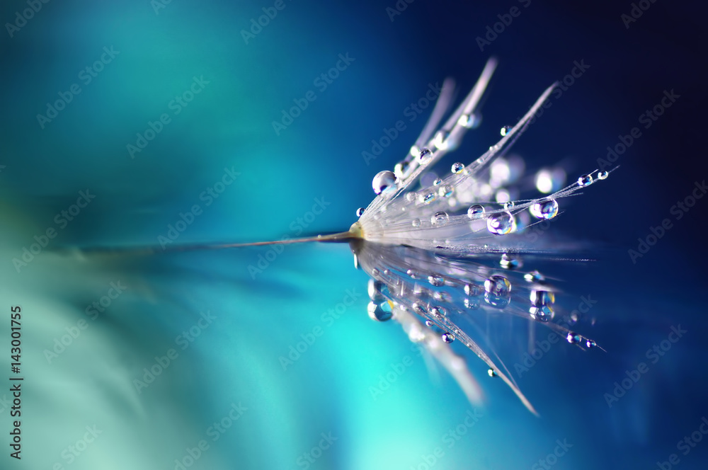 蓝色背景上水滴状的蒲公英花，镜面反射
1538712722,自然景观细线元素图标