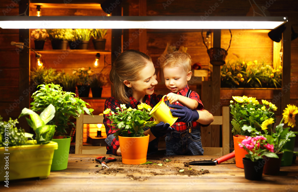 家庭母亲和婴儿在园丁温室里种花，移植幼苗