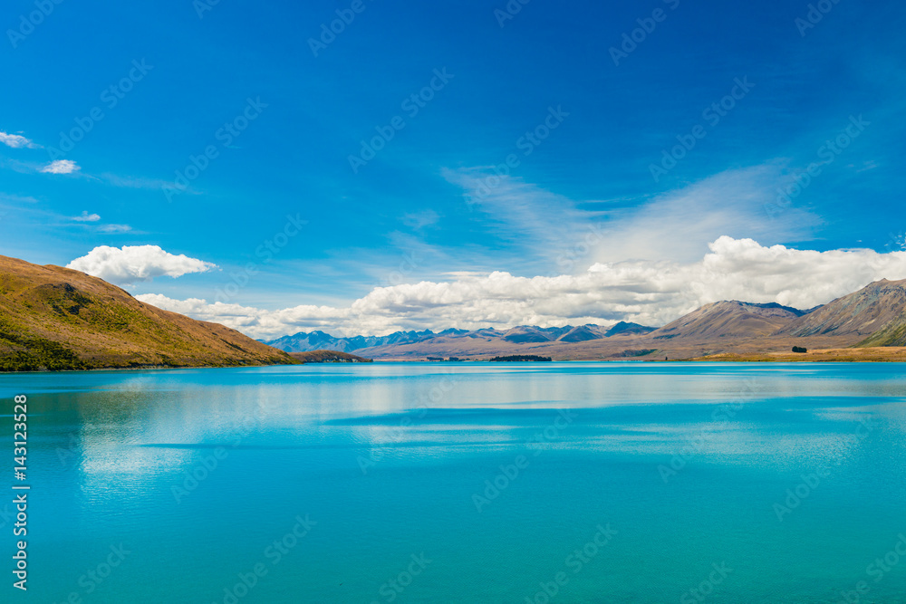 美丽的特卡波湖，新西兰