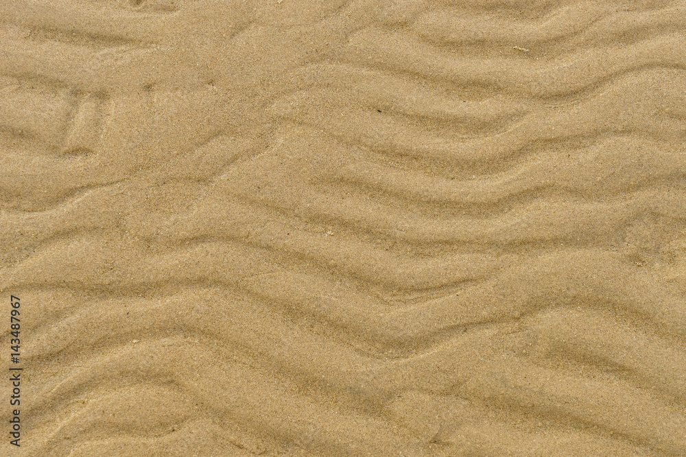 春季海滩湿沙模式特写