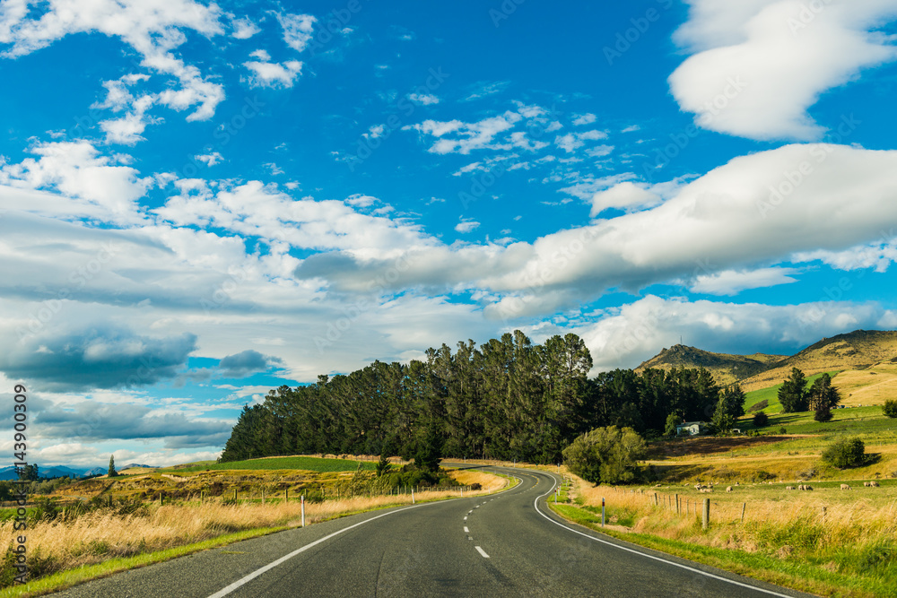 新西兰南岛绿色山丘和山谷景观