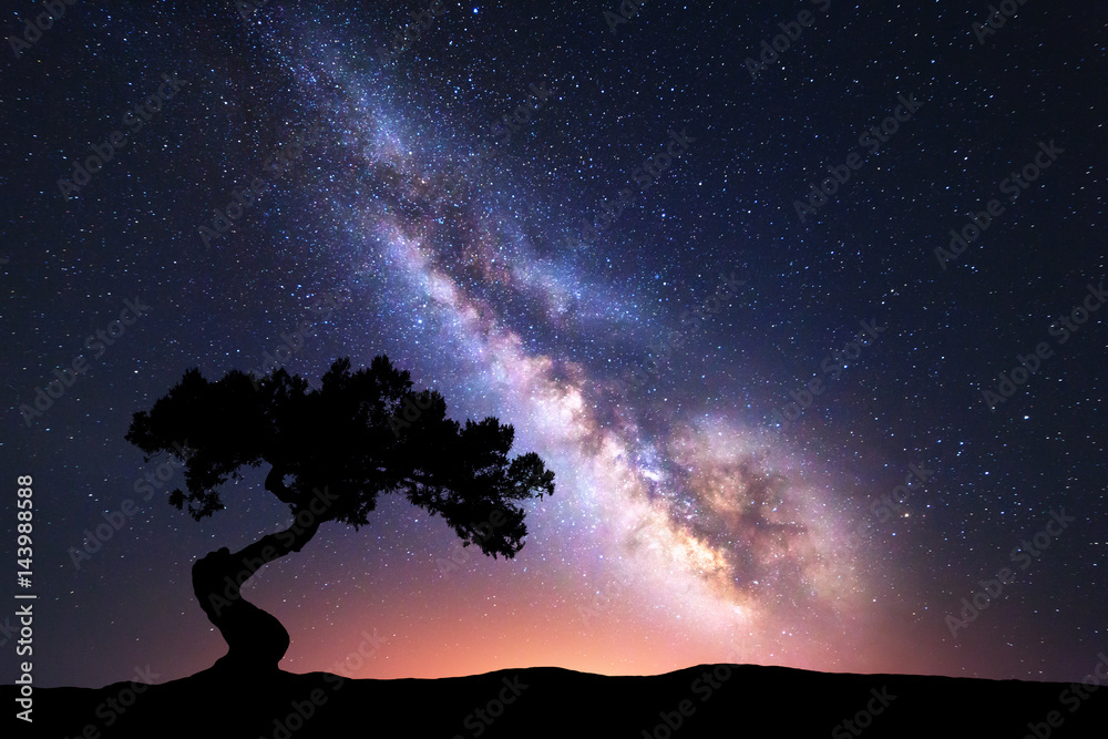 山上只有一棵弯曲的树，是银河系。明亮的银河系，是五颜六色的夜景，更明亮