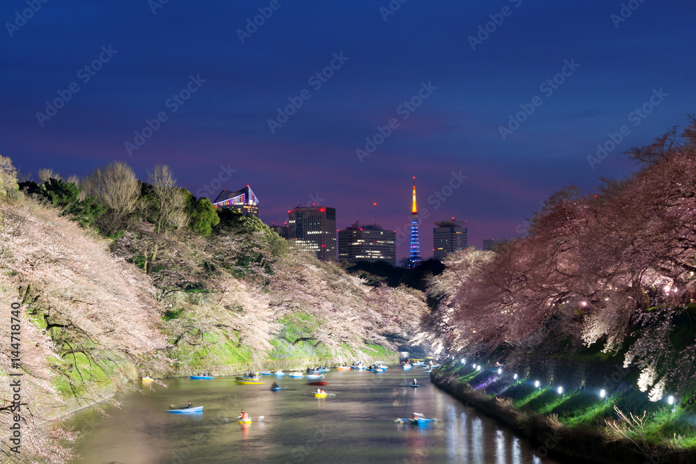 以东京塔为背景的樱花盛开的夜景。照片拍摄于东京都千户院