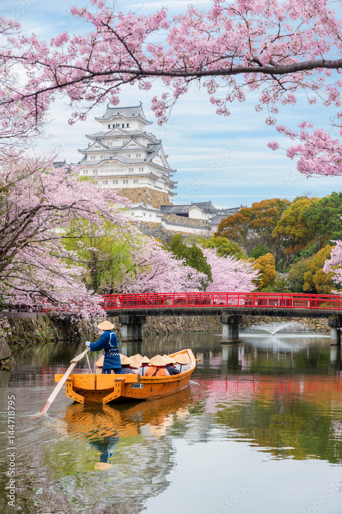 Himeji Castle with beautiful cherry blossom in spring season at Hyogo near Osaka, Japan. Himeji Cast