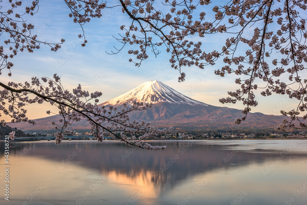 富士山和樱花