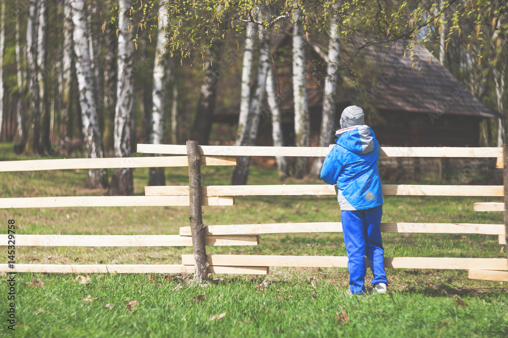 早春时节农场围栏上的小男孩