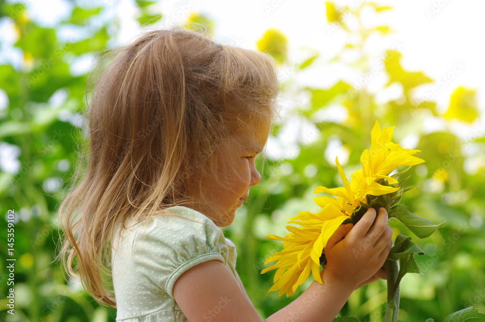  girl and sunflower on the field