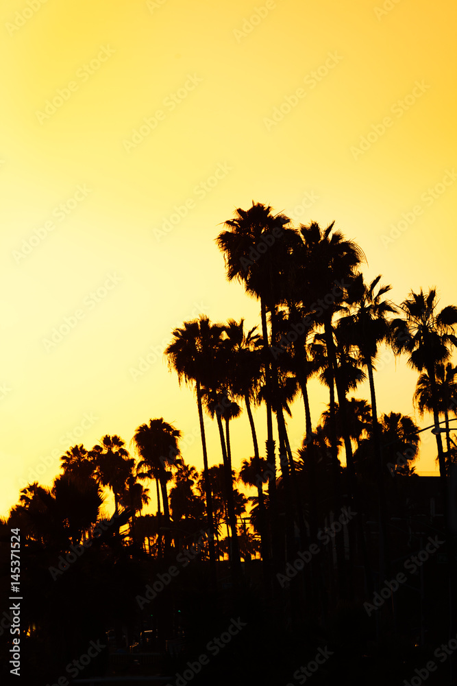 Beautiful sunset with palms silhouettes at beach