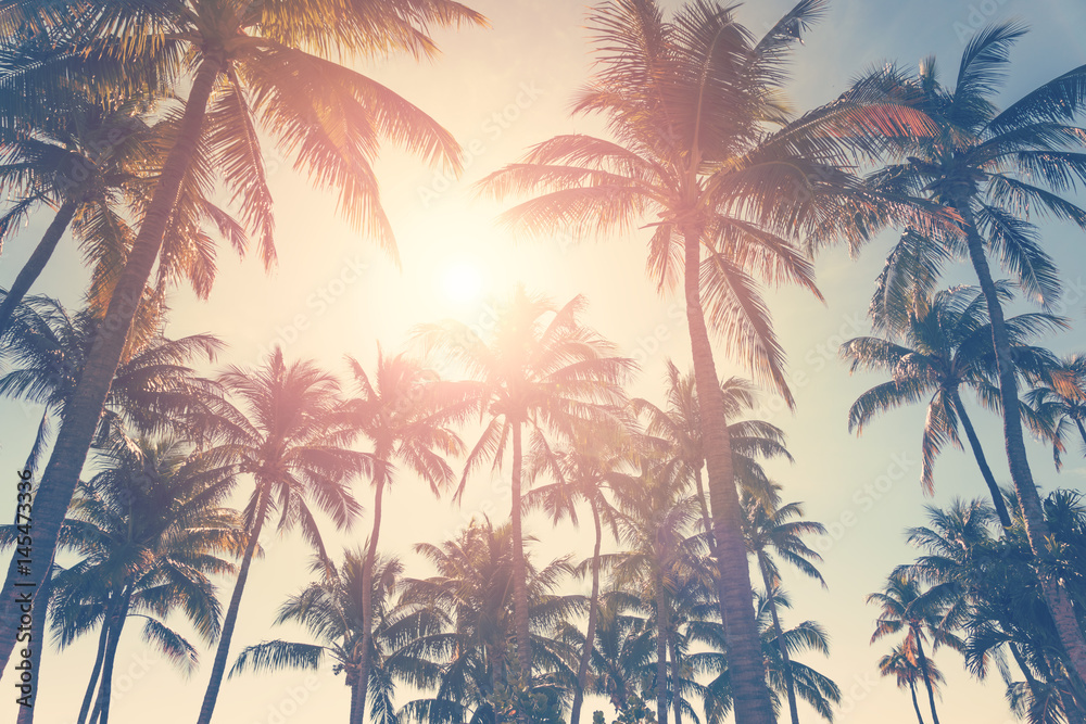热带海滩，棕榈树和晴朗的天空，炎热的夏日