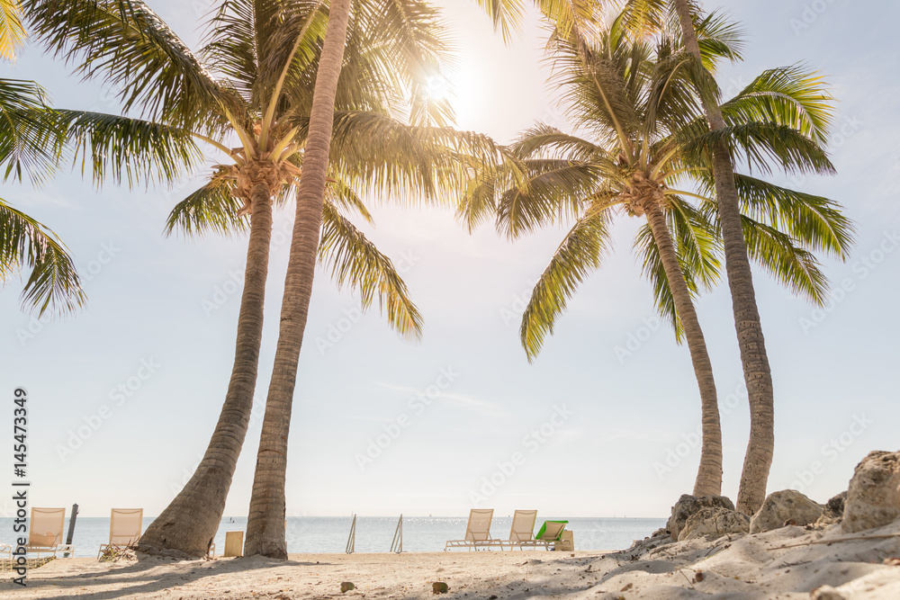 热带海滩，棕榈树和晴朗的天空