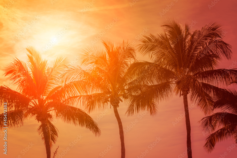 热带日落与棕榈树，炎热的夏日度假背景
