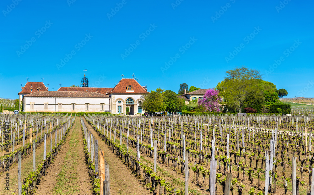 法国圣埃米利翁附近的葡萄园