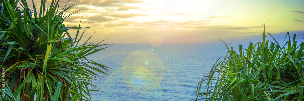 Ozean，Palmen und Sonnenschein全景