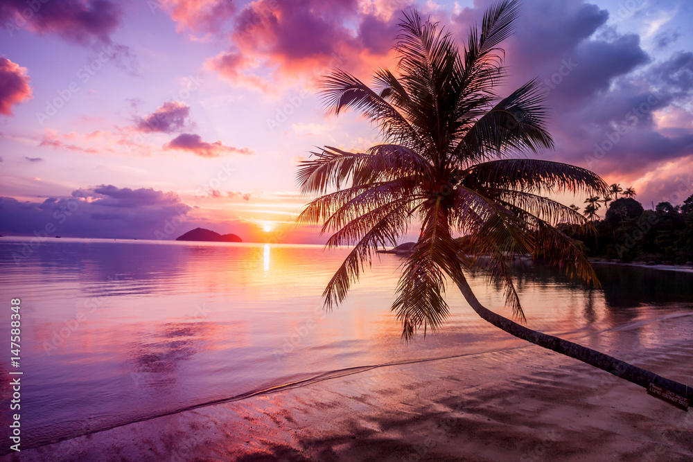 热带天堂海滩上美丽明亮的日落