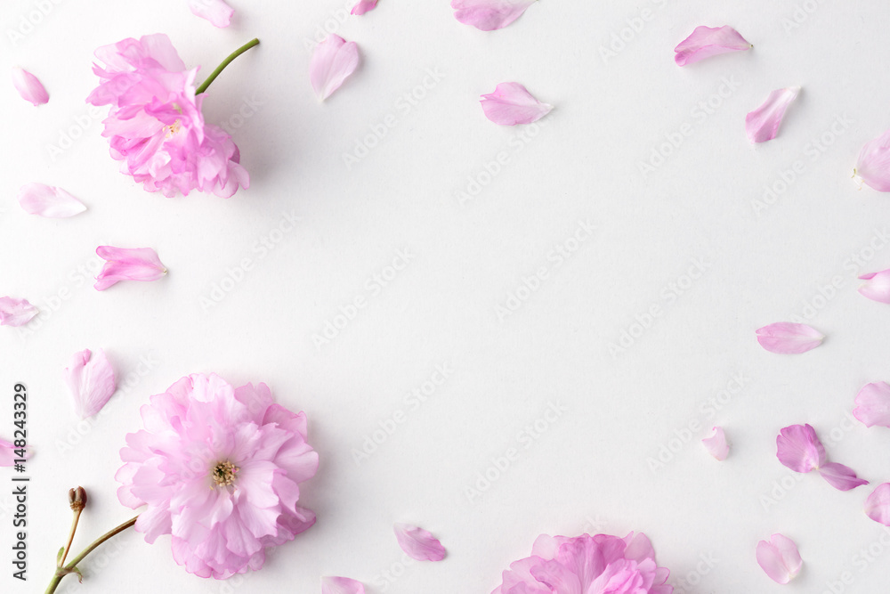Sakura flowers and petals
