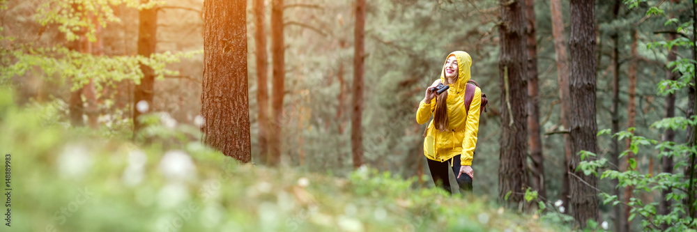 与穿着黄色雨衣徒步旅行的妇女在松林上的景观。裁剪图像用于广泛形式