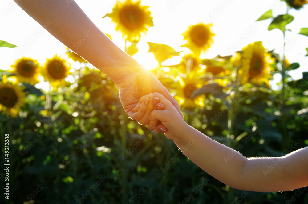 Hands on the field of sunflowers